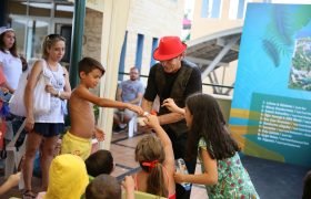 Sihirbaz Kiralama Kuşadası
